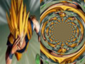 []
